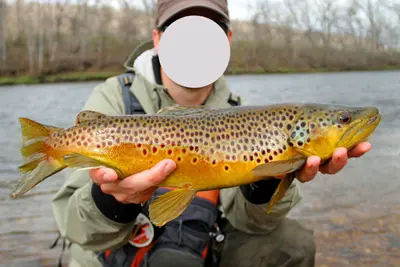 Stick2it fly fishing photo3